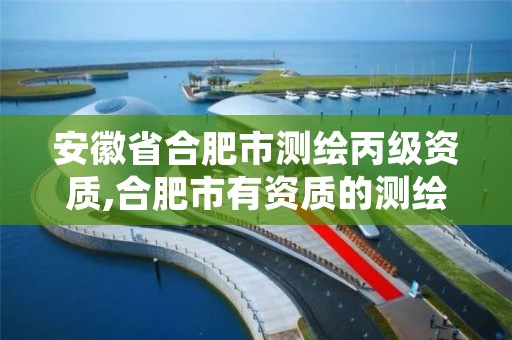 安徽省合肥市测绘丙级资质,合肥市有资质的测绘公司