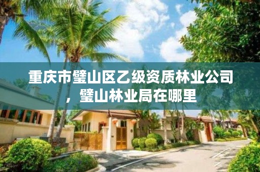 重庆市璧山区乙级资质林业公司，璧山林业局在哪里