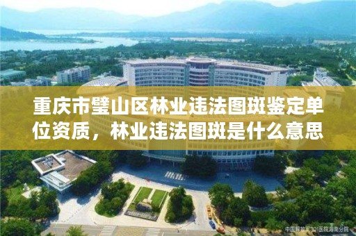 重庆市璧山区林业违法图斑鉴定单位资质，林业违法图斑是什么意思