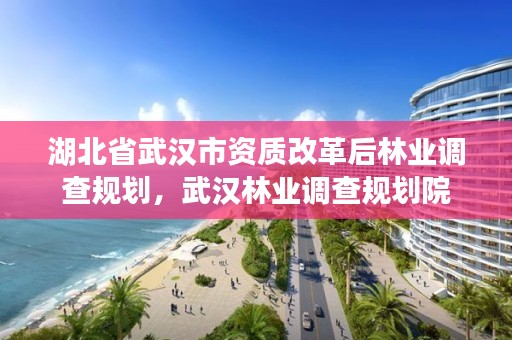 湖北省武汉市资质改革后林业调查规划，武汉林业调查规划院