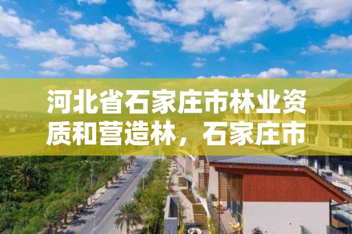 河北省石家庄市林业资质和营造林，石家庄市林业局办公室电话