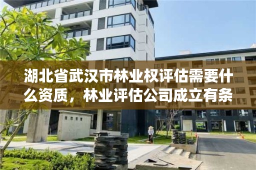 湖北省武汉市林业权评估需要什么资质，林业评估公司成立有条件