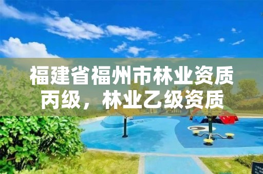 福建省福州市林业资质丙级，林业乙级资质