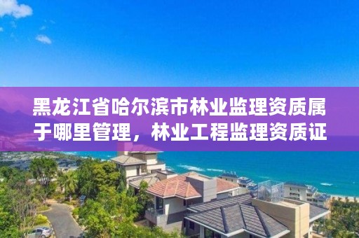 黑龙江省哈尔滨市林业监理资质属于哪里管理，林业工程监理资质证书