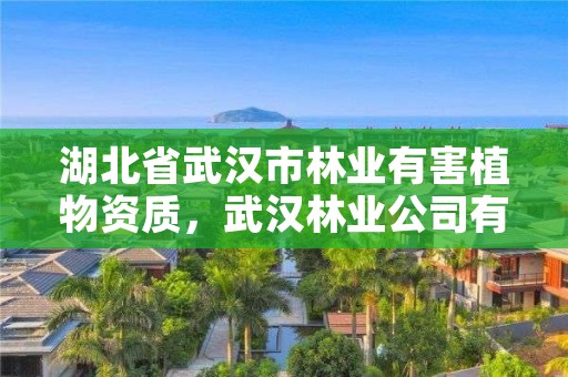 湖北省武汉市林业有害植物资质，武汉林业公司有哪些