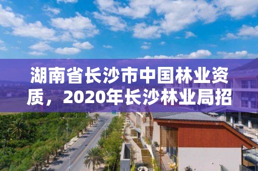 湖南省长沙市中国林业资质，2020年长沙林业局招聘公告