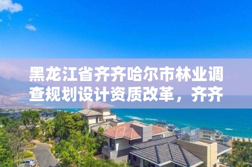 黑龙江省齐齐哈尔市林业调查规划设计资质改革，齐齐哈尔林业局吴寒