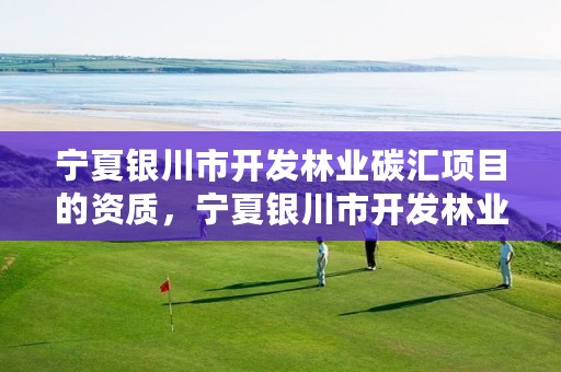 宁夏银川市开发林业碳汇项目的资质，宁夏银川市开发林业碳汇项目的资质是什么