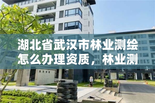 湖北省武汉市林业测绘怎么办理资质，林业测绘需要什么资质