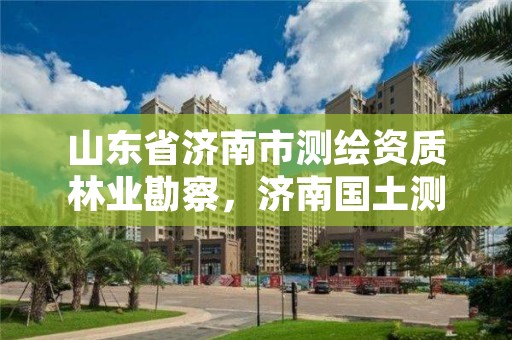 山东省济南市测绘资质林业勘察，济南国土测绘院