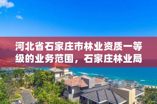 河北省石家庄市林业资质一等级的业务范围，石家庄林业局下属单位