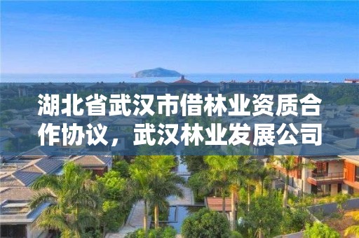 湖北省武汉市借林业资质合作协议，武汉林业发展公司