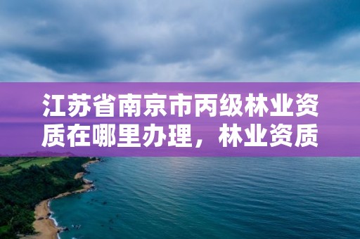 江苏省南京市丙级林业资质在哪里办理，林业资质证书丙级