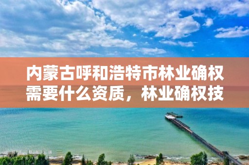 内蒙古呼和浩特市林业确权需要什么资质，林业确权技术方案