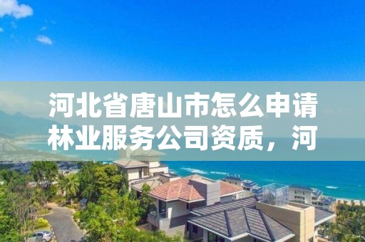 河北省唐山市怎么申请林业服务公司资质，河北省林业生态建设投资有限公司