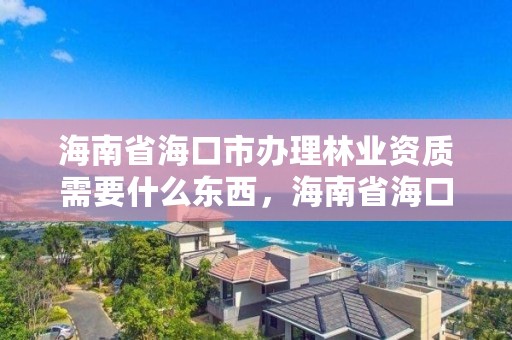 海南省海口市办理林业资质需要什么东西，海南省海口市办理林业资质需要什么东西呢