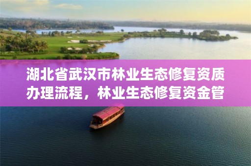 湖北省武汉市林业生态修复资质办理流程，林业生态修复资金管理办法