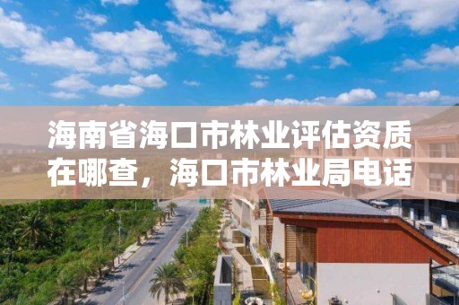 海南省海口市林业评估资质在哪查，海口市林业局电话号码