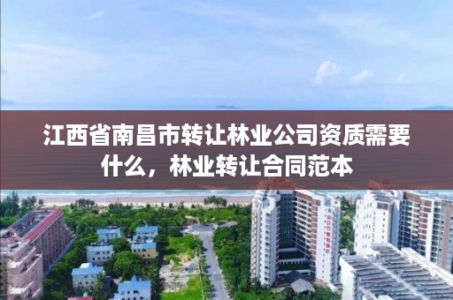 江西省南昌市转让林业公司资质需要什么，林业转让合同范本