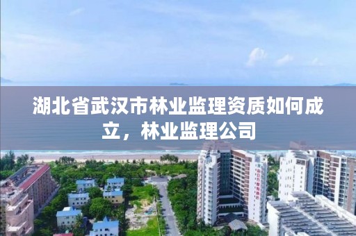 湖北省武汉市林业监理资质如何成立，林业监理公司