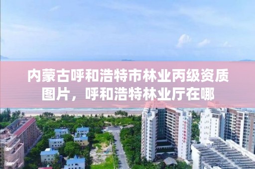 内蒙古呼和浩特市林业丙级资质图片，呼和浩特林业厅在哪