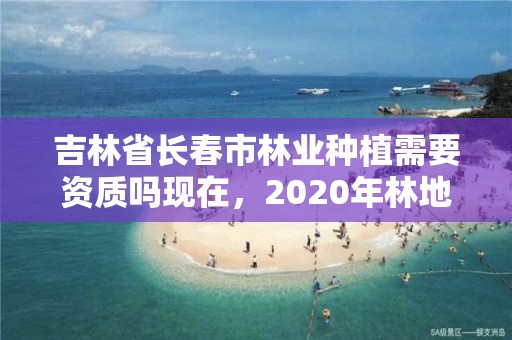 吉林省长春市林业种植需要资质吗现在，2020年林地种植需要办理手续