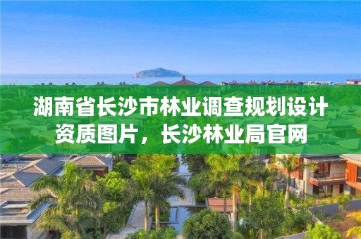 湖南省长沙市林业调查规划设计资质图片，长沙林业局官网