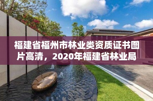 福建省福州市林业类资质证书图片高清，2020年福建省林业局官网