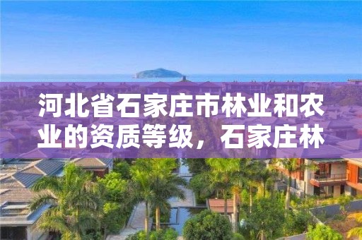 河北省石家庄市林业和农业的资质等级，石家庄林业局招标公告