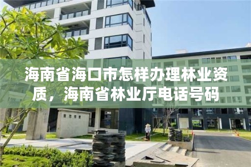 海南省海口市怎样办理林业资质，海南省林业厅电话号码