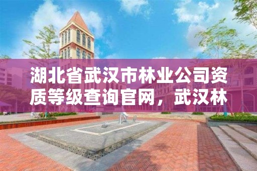 湖北省武汉市林业公司资质等级查询官网，武汉林业公司有哪些