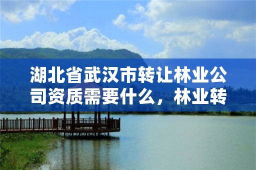 湖北省武汉市转让林业公司资质需要什么，林业转让合同范本