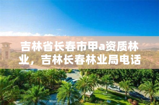 吉林省长春市甲a资质林业，吉林长春林业局电话