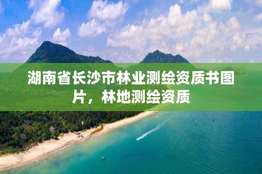 湖南省长沙市林业测绘资质书图片，林地测绘资质