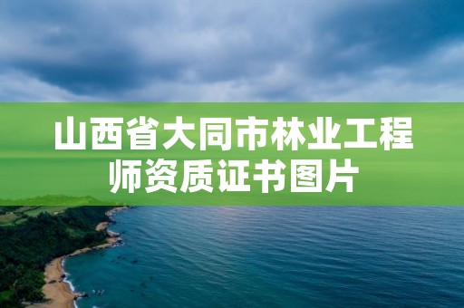 山西省大同市林业工程师资质证书图片