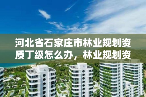 河北省石家庄市林业规划资质丁级怎么办，林业规划资质取消