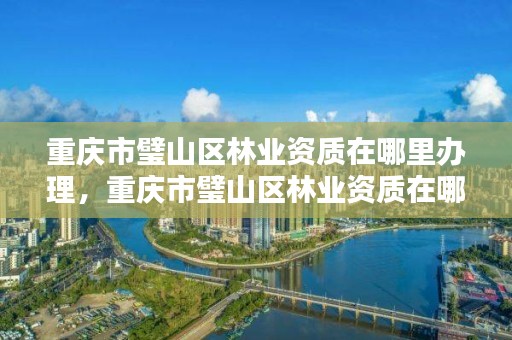 重庆市璧山区林业资质在哪里办理，重庆市璧山区林业资质在哪里办理的