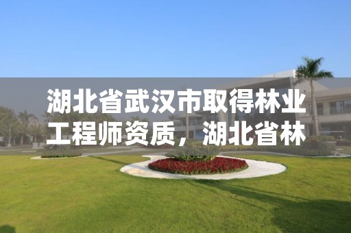 湖北省武汉市取得林业工程师资质，湖北省林业局总工程师是什么级别