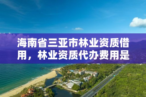 海南省三亚市林业资质借用，林业资质代办费用是多少