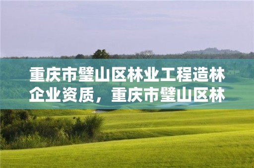 重庆市璧山区林业工程造林企业资质，重庆市璧山区林业工程造林企业资质查询