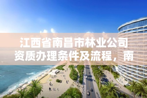 江西省南昌市林业公司资质办理条件及流程，南昌市林业局下属事业单位