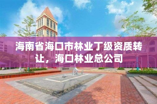 海南省海口市林业丁级资质转让，海口林业总公司