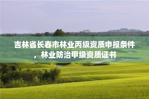 吉林省长春市林业丙级资质申报条件，林业防治甲级资质证书