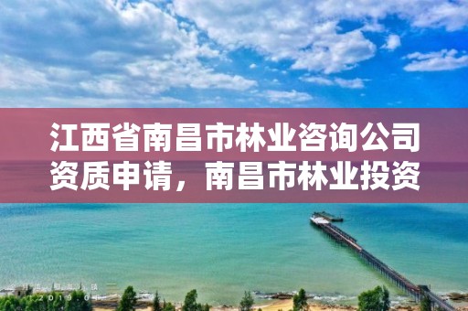 江西省南昌市林业咨询公司资质申请，南昌市林业投资发展有限公司