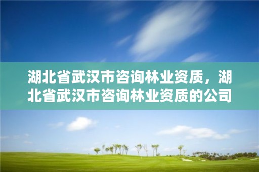 湖北省武汉市咨询林业资质，湖北省武汉市咨询林业资质的公司