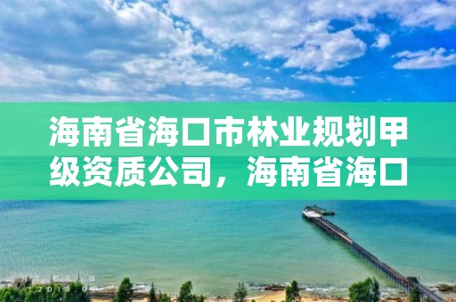 海南省海口市林业规划甲级资质公司，海南省海口市林业规划甲级资质公司有几家