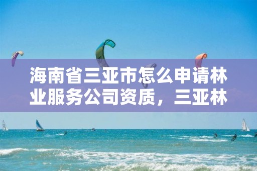 海南省三亚市怎么申请林业服务公司资质，三亚林业局地址