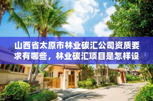 山西省太原市林业碳汇公司资质要求有哪些，林业碳汇项目是怎样设骗局的