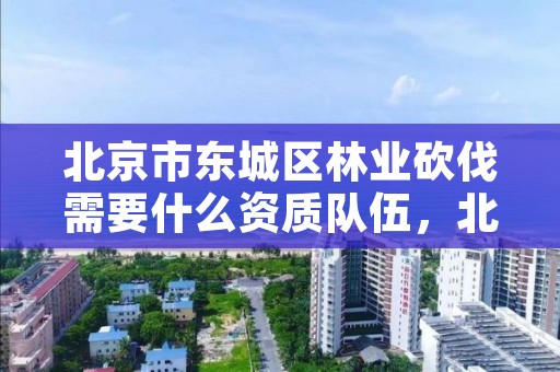 北京市东城区林业砍伐需要什么资质队伍，北京市东城区林业砍伐需要什么资质队伍办理