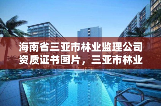 海南省三亚市林业监理公司资质证书图片，三亚市林业局招标